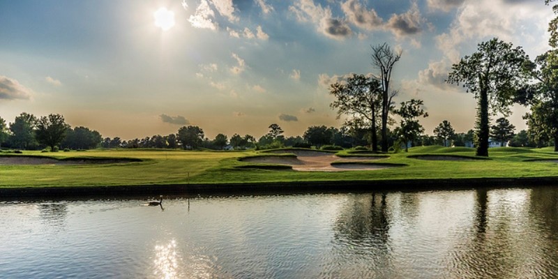 Honey Bee Golf Club