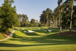 Golden Horseshoe Golf